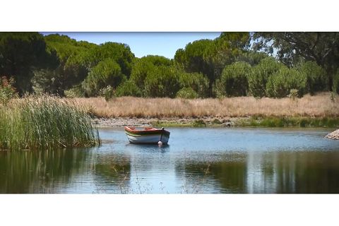 Landejendom i Alcacer do Sal, Setubal, Alcacer do Sal - € 3.900.000 | Ref: 1820 - foto 15