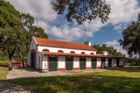Landejendom i Alcacer do Sal, Setubal, Alcacer do Sal - € 3.900.000 | Ref: 1820 - foto 18