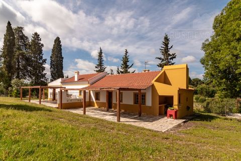 Landejendom i Alcacer do Sal, Setubal, Alcacer do Sal - € 3.900.000 | Ref: 1820 - foto 20