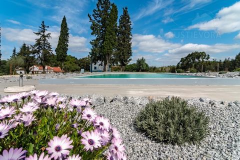 Landejendom i Alcacer do Sal, Setubal, Alcacer do Sal - € 3.900.000 | Ref: 1820 - foto 25