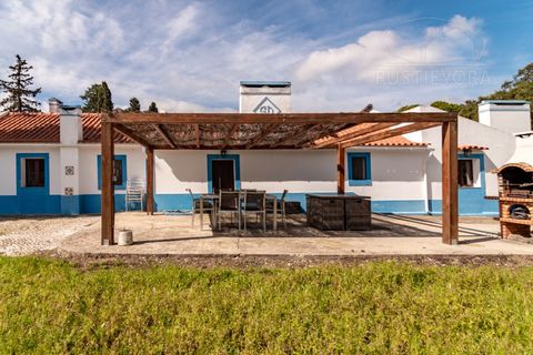 Landejendom i Alcacer do Sal, Setubal, Alcacer do Sal - € 3.900.000 | Ref: 1820 - foto 27