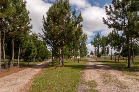 Landejendom i Alcacer do Sal, Setubal, Alcacer do Sal - € 3.900.000 | Ref: 1820 - foto 32