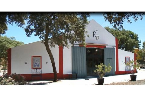 Landejendom i Alcacer do Sal, Setubal, Alcacer do Sal - € 3.900.000 | Ref: 1820 - foto 33