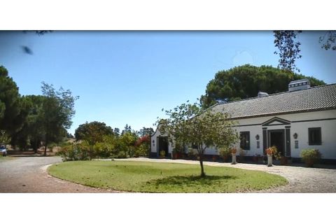 Landejendom i Alcacer do Sal, Setubal, Alcacer do Sal - € 3.900.000 | Ref: 1820 - foto 36