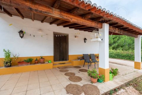 Gård i Borba, Evora, Borba - € 600 000 | Ref: 2492 - foto 4