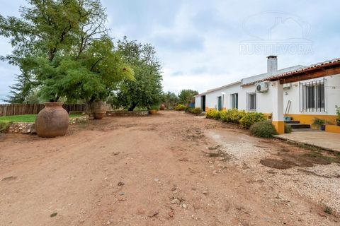 Gård i Borba, Evora, Borba - € 600 000 | Ref: 2492 - foto 27