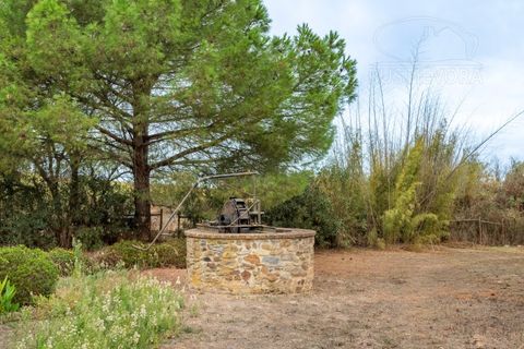 Gård i Borba, Evora, Borba - € 600 000 | Ref: 2492 - foto 28