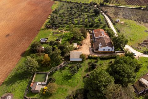 Gård i Borba, Evora, Borba - € 600 000 | Ref: 2492 - foto 43