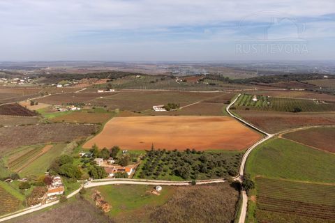 Gård i Borba, Evora, Borba - € 600 000 | Ref: 2492 - foto 46