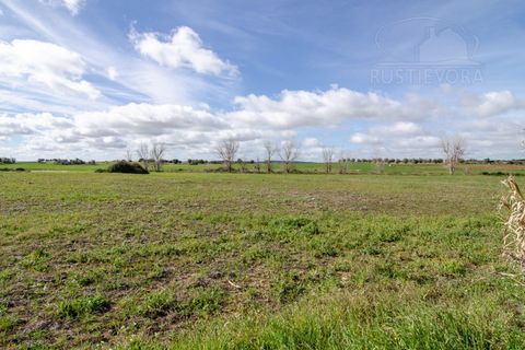 Tomt i Evora, Evora, Evora - € 45 000 | Ref: 1799 - foto 2