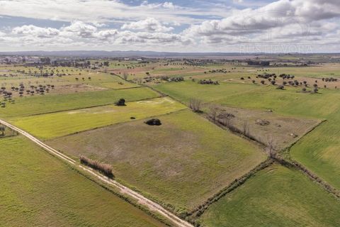 Tomt i Evora, Evora, Evora - € 45 000 | Ref: 1799 - foto 5