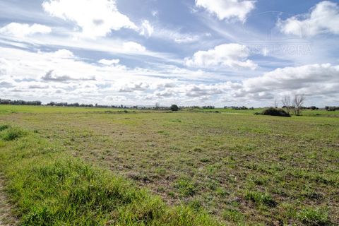 Tomt i Evora, Evora, Evora - € 45 000 | Ref: 1799 - foto 13