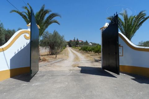 Farm i Redondo, Evora, Redondo - € 850.000 | Ref: 628 - foto 2