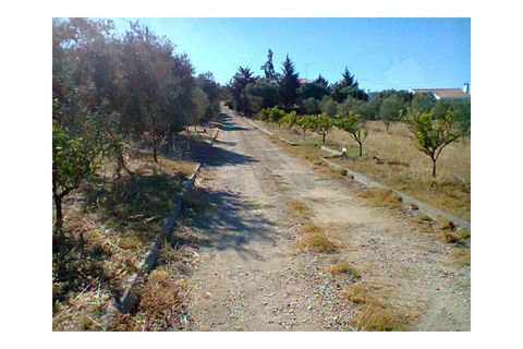 Farm i Redondo, Evora, Redondo - € 850.000 | Ref: 628 - foto 4