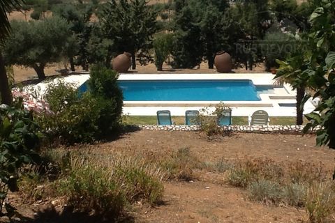 Farm i Redondo, Evora, Redondo - € 850.000 | Ref: 628 - foto 29