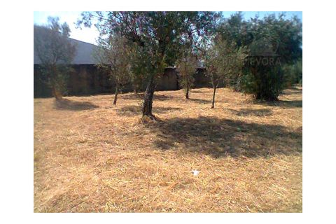 Farm i Redondo, Evora, Redondo - € 850.000 | Ref: 628 - foto 40