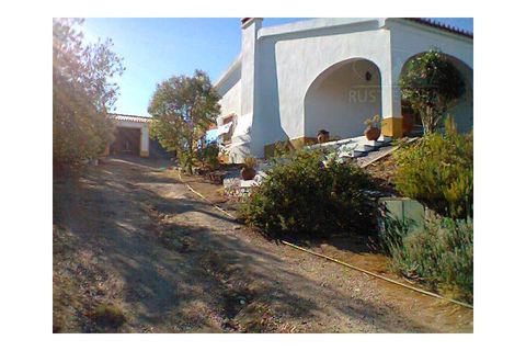 Farm i Redondo, Evora, Redondo - € 850.000 | Ref: 628 - foto 41