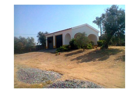 Farm i Redondo, Evora, Redondo - € 850.000 | Ref: 628 - foto 43