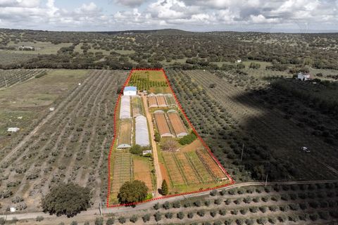 Erhvervsejendom i Elvas, Portalegre, Elvas - € 230.000 | Ref: 516 - foto 3