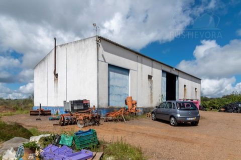 Erhvervsejendom i Elvas, Portalegre, Elvas - € 230.000 | Ref: 516 - foto 4
