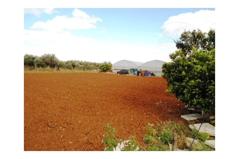 Erhvervsejendom i Elvas, Portalegre, Elvas - € 230.000 | Ref: 516 - foto 7