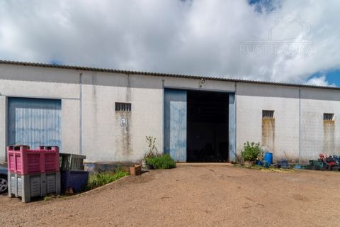 Erhvervsejendom i Elvas, Portalegre, Elvas - € 230.000 | Ref: 516 - foto 9