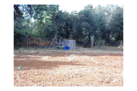 Erhvervsejendom i Elvas, Portalegre, Elvas - € 230.000 | Ref: 516 - foto 30
