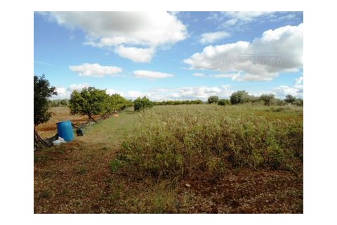 Erhvervsejendom i Elvas, Portalegre, Elvas - € 230.000 | Ref: 516 - foto 31