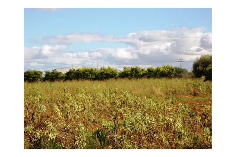Erhvervsejendom i Elvas, Portalegre, Elvas - € 230.000 | Ref: 516 - foto 33