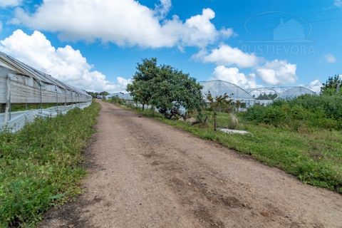 Erhvervsejendom i Elvas, Portalegre, Elvas - € 230.000 | Ref: 516 - foto 46