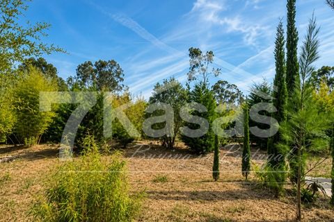 Farm i Bombarral, Leiria, Bombarral - € 330.000 | Ref: K366 - foto 2