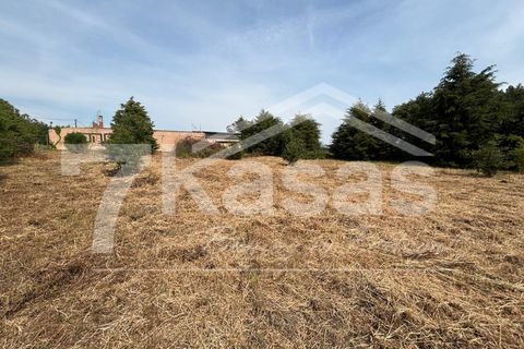 Farm i Bombarral, Leiria, Bombarral - € 330.000 | Ref: K366 - foto 3