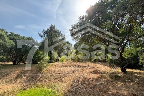 Farm i Bombarral, Leiria, Bombarral - € 330.000 | Ref: K366 - foto 4
