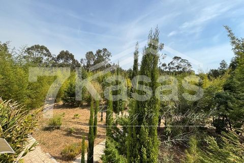 Farm i Bombarral, Leiria, Bombarral - € 330.000 | Ref: K366 - foto 5