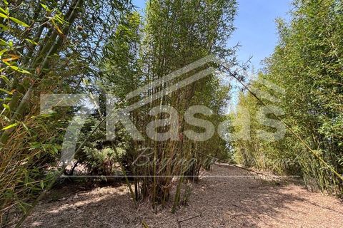 Farm i Bombarral, Leiria, Bombarral - € 330.000 | Ref: K366 - foto 6