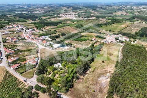 Farm i Bombarral, Leiria, Bombarral - € 330.000 | Ref: K366 - foto 7
