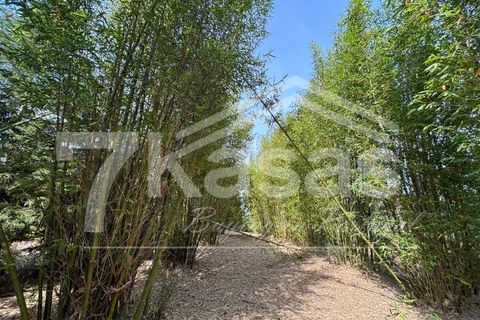 Farm i Bombarral, Leiria, Bombarral - € 330.000 | Ref: K366 - foto 8