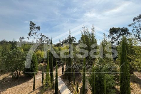Farm i Bombarral, Leiria, Bombarral - € 330.000 | Ref: K366 - foto 9