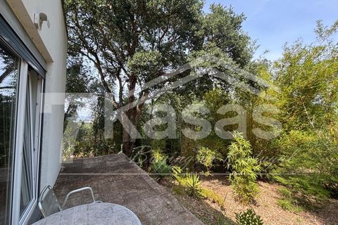 Farm i Bombarral, Leiria, Bombarral - € 330.000 | Ref: K366 - foto 11