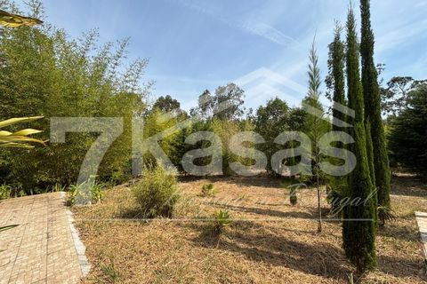 Farm i Bombarral, Leiria, Bombarral - € 330.000 | Ref: K366 - foto 12