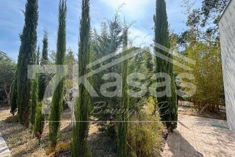 Farm i Bombarral, Leiria, Bombarral - € 330.000 | Ref: K366 - foto 16