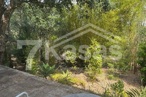 Farm i Bombarral, Leiria, Bombarral - € 330.000 | Ref: K366 - foto 17