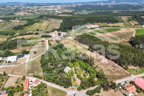 Farm i Bombarral, Leiria, Bombarral - € 330.000 | Ref: K366 - foto 18