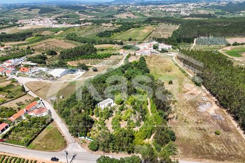 Farm i Bombarral, Leiria, Bombarral - € 330.000 | Ref: K366 - foto 19