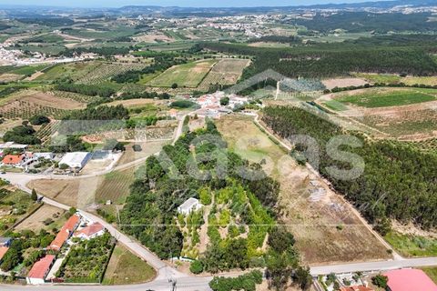 Farm i Bombarral, Leiria, Bombarral - € 330.000 | Ref: K366 - foto 20