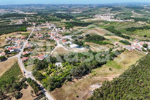 Farm i Bombarral, Leiria, Bombarral - € 330.000 | Ref: K366 - foto 21