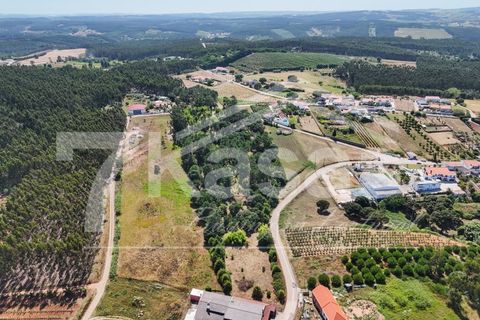 Farm i Bombarral, Leiria, Bombarral - € 330.000 | Ref: K366 - foto 22
