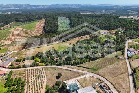 Farm i Bombarral, Leiria, Bombarral - € 330.000 | Ref: K366 - foto 24