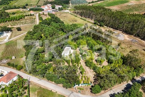 Farm i Bombarral, Leiria, Bombarral - € 330.000 | Ref: K366 - foto 25