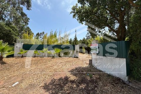 Farm i Bombarral, Leiria, Bombarral - € 330.000 | Ref: K366 - foto 26